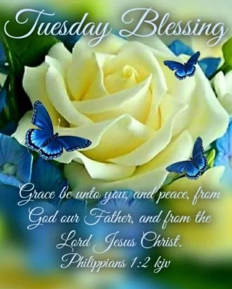 Tuesday Blessings Mornings, Good Morning Wishes Love, Good Morning Thursday Images, Tuesday Quotes Good Morning, Morning Scripture, Blessing Quotes, Tuesday Blessings, Peace Scripture, Monday Blessings