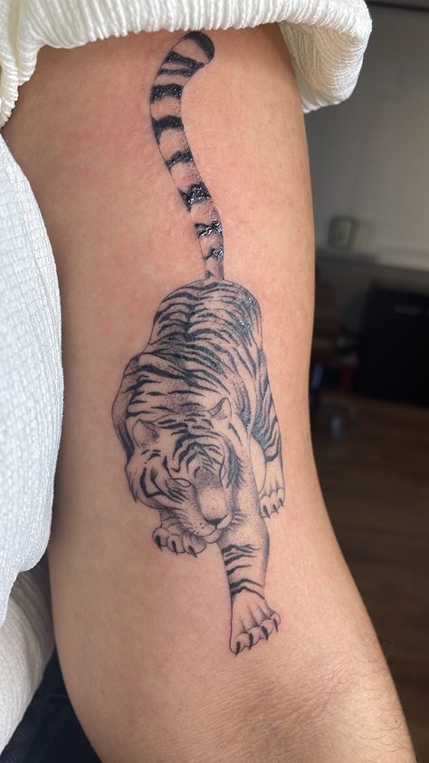 Tiger tattoo Arm Tiger Tattoo, Crouching Tiger Tattoo, Arm Tattoos Tiger, Tattoo Fine Line, Crouching Tiger, Tiger Tattoo Design, Beautiful Flower Tattoos, Forearm Tattoo Design, Black Girls With Tattoos