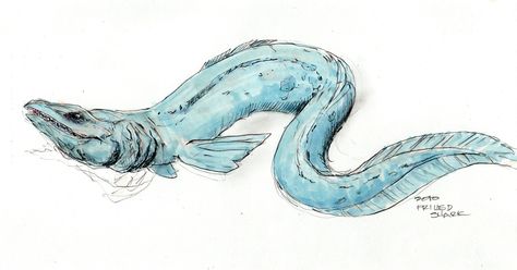 Frilled Shark Pressure Oc, Frilled Shark, Shark Mermaid, Fantasy Ideas, Draw Animals, Animal Artwork, Bongos, Prehistoric Creatures, Fantasy Creatures Art