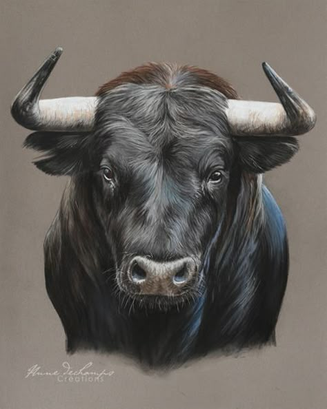 "El Toro" | Toros, Dibujos de toros, Toros pintados Ox Painting, Bull Drawing, Taurus Bull Tattoos, Bull Artwork, Bull Pictures, Taurus Art, Bull Painting, Taurus Bull, Bull Art