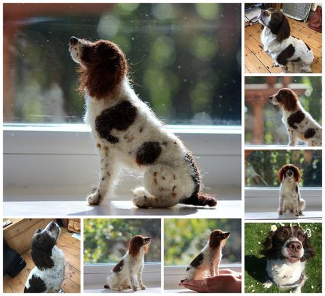 Needle Felted Springer Spaniel, Punch Needling, Needle Felted Dog, Felt Dogs, English Springer, English Springer Spaniel, Felted Animals, Springer Spaniel, Needle Felt