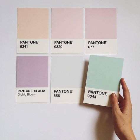 This soothing color palette has us dreaming of soft pastels. 📷 by @katebax #Pantone | por jackdavidson@btinternet.com Visuell Identitet, Pantone Colour Palettes, Pastel Colour Palette, Color Palette Design, Color Inspo, Soothing Colors, Colour Board, Malang, Colour Schemes