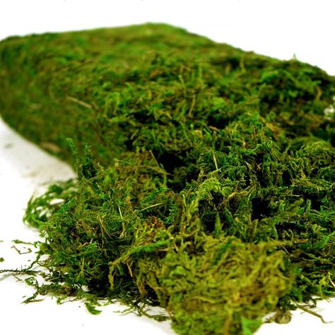 PRICES MAY VARY. Versatile Material - Large pack - 455g of artificial, loose moss pieces is perfect for a range of uses such as floral decor, floral arrangements, vase decoration, bouquets, fairy gardens, terrariums, and DIY crafts. Natural Look - USMOLA fake green moss creates a completely natural, color-enhanced look that is perfect for seasonal centerpieces, fresh floral arrangements, orchid decor, and potted plants. Durable and Low Maintenance - Our artificial moss is durable and will stay s Potted Plant Centerpieces, Enchanted Forest Wedding Theme, Fake Moss, Lily Turf, Plant Centerpieces, Forest Theme Wedding, Faux Moss, Enchanted Forest Wedding, Terrarium Decor