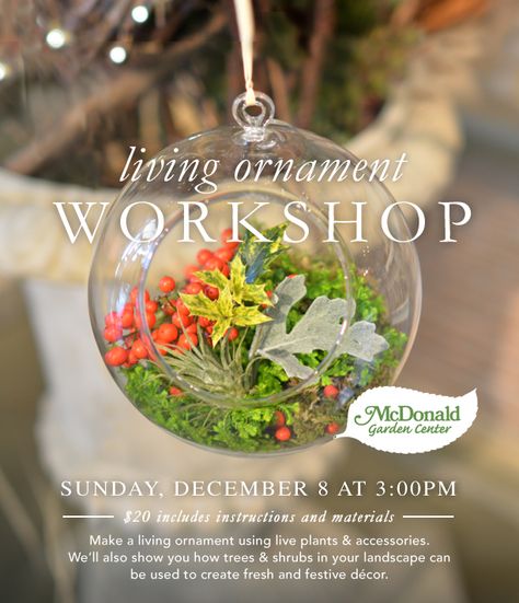 Living Ornament Workshop. McDonald Garden Center Plant Workshop Ideas, Gardening Workshop, Workshop Business, Plant Workshop, Garden Huts, Garden Center Displays, Garden Workshop, Summer Plant, Floristry Design