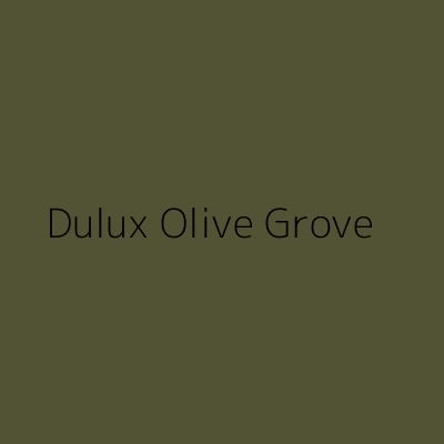 Dunelm Olive Paint, Olive Green Hallway Ideas, Olive Grove Paint, Dulux Green Paint Colours, Olive Green Living Room Color Scheme, Dulux Green Paint, Small Spare Room Ideas, Green Living Room Color Scheme, Dulux Colours