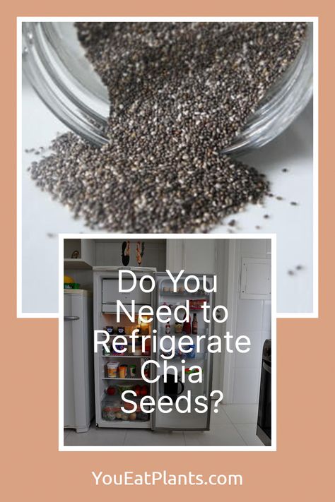 If you've ever wondered whether those chia seeds you add to your smoothie need to be refrigerated, you're not alone. In this article, we'll explore the answer to that question and give you some tips on how to store your chia seeds to keep them fresh. #HealthyFoodGuide How To Store Chia Seeds, Soak Chia Seeds, Fertility Smoothie, Man Recipes, Seeds Benefits, Seed Recipes, 17 Day Diet, Chia Seeds Benefits, Chia Seed Recipes