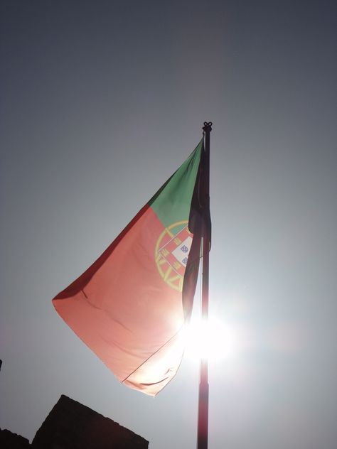 Portugal Portugal Flag Aesthetic, Portugal Flag, Group Aesthetic, Poland Flag, Learn Portuguese, Spotify Covers, Cat Facts, Study Abroad, Dark Aesthetic