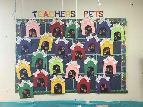 Bulletin Board teacher's pets Pet Theme Bulletin Board Ideas, Pets Bulletin Board Ideas, Pet Shop Classroom Theme, Pet Bulletin Board Ideas, Dog Bulletin Board, Preschool Pets, Dog Classroom, Pet Study, Preschool Classroom Themes