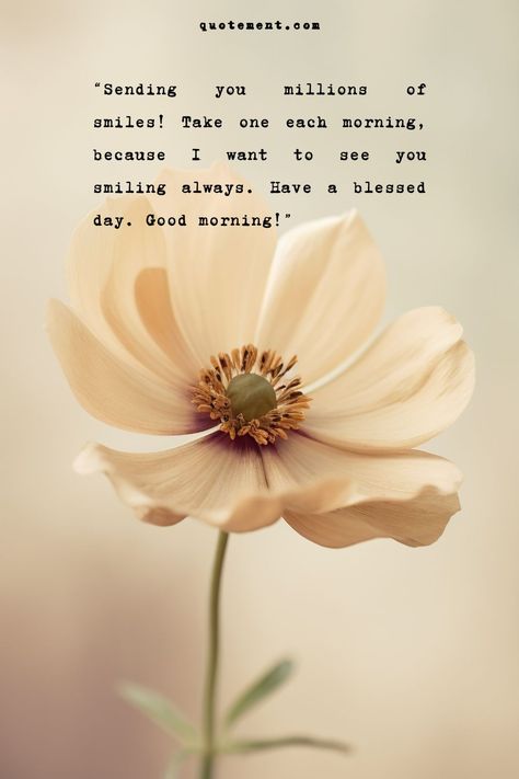 Starting the day with a positive attitude and a smile on your face can play a major role in how that day turns out. Here are some motivational have a beautiful day quotes that you can use as self-affirmations or share with someone who you believe needs to hear a few inspiring words to enjoy their day. Amazing Day Quotes Inspiration, Starting The Day Quotes, Its A Beautiful Day Quotes, Have A Happy Day Quotes, Beautiful Day Quotes Positivity, Have A Lovely Day Quotes, Have A Beautiful Day Quotes, Special Day Quotes, A Beautiful Day Quotes