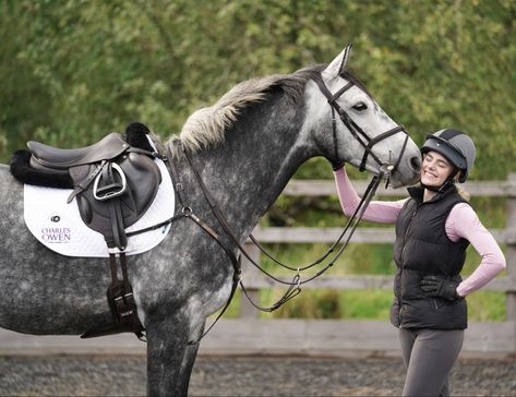 Dapple Grey Warmblood x TB Horse This Esme, Dapple Horses Grey, Dapple Grey Horse, Dapple Grey Horse Aesthetic, Dapple Gray Quarter Horse, Grey Horse Aesthetic, Grey Dutch Warmblood, Dapple Grey Warmblood, Dapple Grey Horses