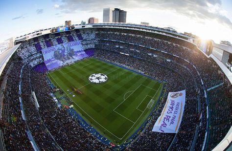 Real Madrid Stadium, Madrid Stadium, Madrid Football Club, Real Madrid Logo, Real Madrid Soccer, Field Wallpaper, Real Madrid Wallpapers, Real Madrid Football, Madrid Wallpaper