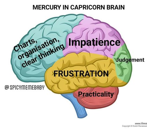 Mercury Capricorn, Mercury In Capricorn, Capricorn Mercury, Capricorn Meme, Chart Aesthetic, Libra Rising, Aries Moon, Capricorn Aesthetic, Capricorn And Virgo