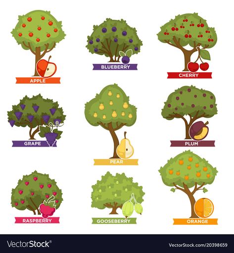 Fruits With Names, Fruit Tree Illustration, Blueberry Tree, Food Doodle, Orange Vector, Fruit Bearing Trees, Orchard Tree, Cherry Apple, Food Doodles