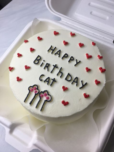 Bento Cake Cat Design, Cat Bento Cake, Happy Birthday Cat, Tiny Cakes, Birthday Cat, All Caps Font, Cute Bento, Bento Cake, 23rd Birthday