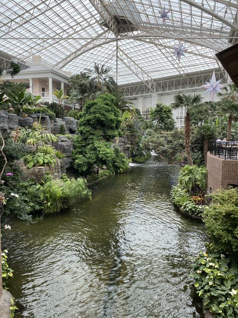 Zoo Architecture, Garden Pond Design, Home Greenhouse, House In Nature, Pond Design, Indoor Gardens, Garden Greenhouse, Green Architecture, Koi Pond