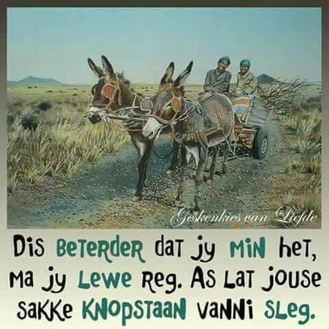 Uplifting Christian Quotes, African Quotes, Afrikaans Quotes, Donkeys, Family Quotes, Bible Inspiration, Cute Quotes, South African, Good Morning Quotes