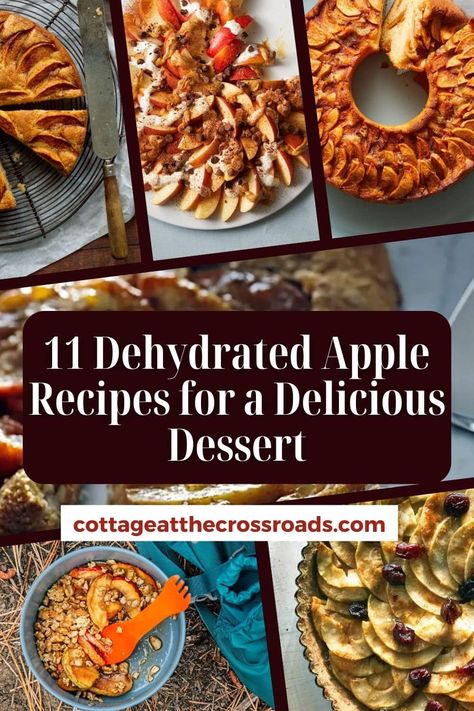 11 Dehydrated Apple Recipes for a Delicious Dessert pinterest image. How To Use Dried Apples, Dried Apple Dessert Recipes, Recipes With Dehydrated Apples, Dehydrator Apple Recipes, Dehydrated Dessert Recipes, Recipes Using Dehydrated Apples, Recipes Using Dried Apples, Dehydrated Apple Recipes, Recipes With Dried Apples