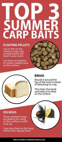 Carp fishing infographic with the best carp fishing bait for summer. Happy angling! #fishingflies  Carp fishing infographic with the best carp fishing bait for summer. Happy angling! #fishingflies Fish Infographic, Best Carp Bait, Carp Fishing Tips, Carp Fishing Rigs, Carp Fishing Bait, Catfish Bait, Pike Fishing, Fishing Rigs, Summer Happy