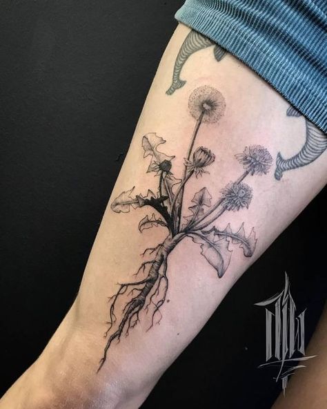 Make your life brighter with 62 completely unique and vivid dandelion tattoos! Bonus: reveal the tattoo’s meaning and where to get it. Tattoo On The Thigh, Dandelion Tattoo Meaning, Dandelion Tattoos, Dandelion Tattoo Design, Light Tattoo, Dandelion Tattoo, Mushroom Tattoos, Plant Tattoo, Botanical Tattoo