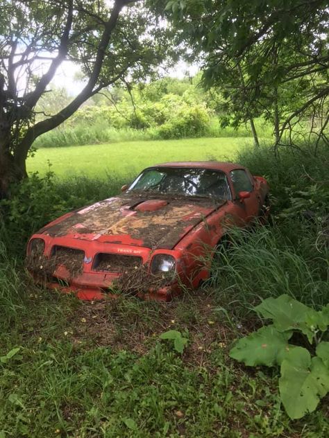 Old Pickup Trucks Abandoned Cars, Abandoned Vehicles, Old Abandoned Buildings, Car Barn, Rusty Cars, Old Pickup, Pontiac Firebird Trans Am, Old Pickup Trucks, Ae86