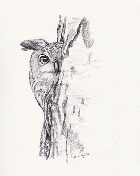 Owl Drawing Sketches, Draw Owl, Bird Coloring Page, Owl Sketch, Bird Coloring, Owl Artwork, Pencil Drawings Of Animals, Bird Sketch, Nature Art Drawings