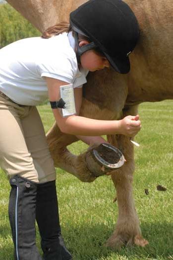 The foot is the foundation of a healthy horse, so it’s important to know how to safely pick out a horse’s feet and take good care of them. Clean and care for your horse's feet the right way with help from Pony Club. #horsecare #horses #hoofcare #horsehoof #howtopickhooves Taking Care Of Horses, Ranching Life, Healthy Horses, Hoof Care, Clay Stuff, Pony Club, Horse Face, Horse Owner, Ranch Life