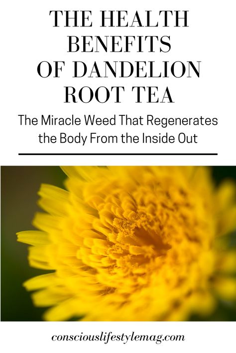 Dandelion Tea Benefits, Dandelion Benefits, Dandelion Root Tea, Dandelion Tea, Tea Health Benefits, Wealth Dna Code, Dna Code, Dandelion Root, Turmeric Tea