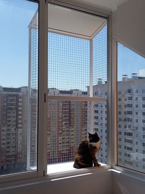 Catio Ideas Cat Window, Cat Balcony Ideas, Outdoor Cat House Plans, Cat House For Winter, Catio Window, Cat Patio Enclosure, Catios For Cats Window, Cat Proof Balcony, Cat Balcony