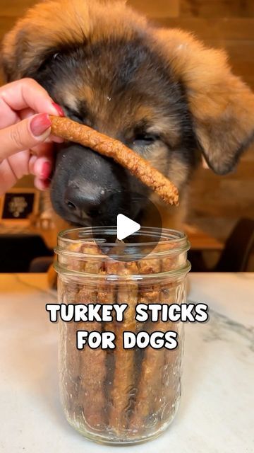 JADE THE SABLE GSD on Instagram: "Turkey Pupperoni Sticks Recipe 😋🍗These easy 4 ingredient dog treats are not only healthy and yummy, they are also very cost effective! Recipe at the end and don’t forget to save for later! #easydogtreats #dog #dogs #dogrecipes #dogtreats #germanshepherd" Ground Turkey Dog Treats, Thanksgiving Dog Treat Recipes, Easy Dog Treats 2 Ingredients, Dog Kibble Recipe, Chicken Dog Treats Recipes, Puppy Recipes, Thanksgiving Dog Treats, Turkey Dog Treats, Dog Jerky