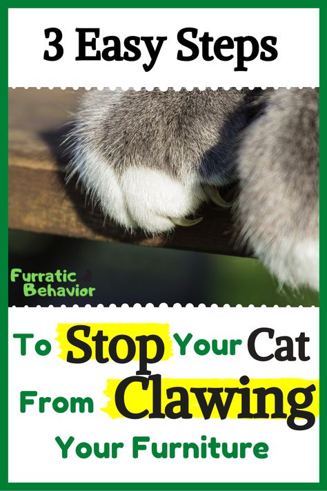 How To Stop Cat From Scratching Furniture, How To Get Your Cat To Stop Scratching Furniture, Keep Cat From Scratching Furniture, How To Keep Cats From Clawing Furniture, Stop Cats From Clawing Furniture, Cat Tips Life Hacks, Cat Things For Home, Stop Cat Scratching Furniture, Kitty Treats