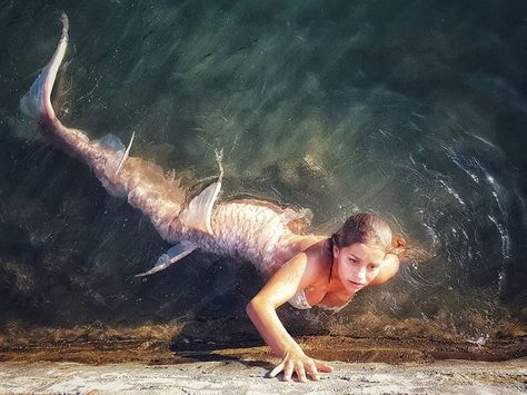 Siki Red on Instagram: “I wanna be where the people are... Photo by Siki Red #tailmaker #siliconemermaidtail #sereismo #mermaiding #instagram #sirena #rusalka…” Bale Dance, Realistic Mermaid Tails, Realistic Mermaid, Mermaid Names, Mermaid Photography, Silicone Mermaid Tails, Fantasy Mermaids, Siren Mermaid, Mermaid Swimming