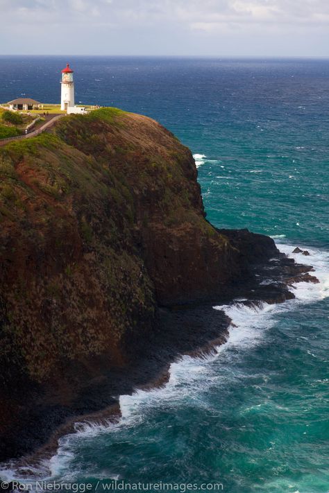 Kauai Hawaii Photography, Kilauea Lighthouse, Alaska Photography, Felted Projects, Hawaii Photography, Hawaii Art, Lighthouse Photos, Lighthouse Painting, Beacon Of Light