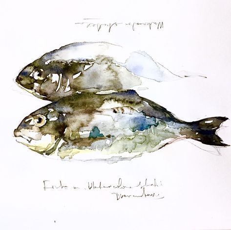 Konstantin Dvornikov, Fish Sketch, Watercolor Blog, Watercolor Fish, Draw Illustration, Diy Watercolor Painting, Painting Medium, Artist Drawing, Watercolor Sketch