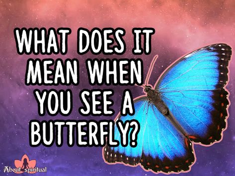 Butterflies And Their Meanings, What Does A Butterfly Symbolize, Brown Butterfly Meaning Spiritual, Blue Butterfly Meaning, Butterfly Meaning, Flying Tattoo, Flying Together, Your Spirit Animal, Butterflies Flying