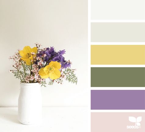 flora tones Seeds Color, Purple Color Palettes, Color Palette Yellow, Grey Paint Colors, Summer Wedding Colors, Design Seeds, Color Palette Design, Color Inspo, Color Swatch