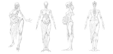 Pregnant Monster, Female Monster, Female Sketch, Character Design, Sketch, Art Design, Humanoid Sketch, Art, Design