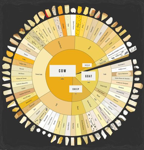 Infographic: How To Tell The Difference Between 66 Varieties Of Cheese Eye Color Chart, Cheese Wheel, Pop Chart, Perfect Cup Of Tea, Cheese Tasting, Types Of Cheese, Cheese Lover, Design Innovation, Provolone