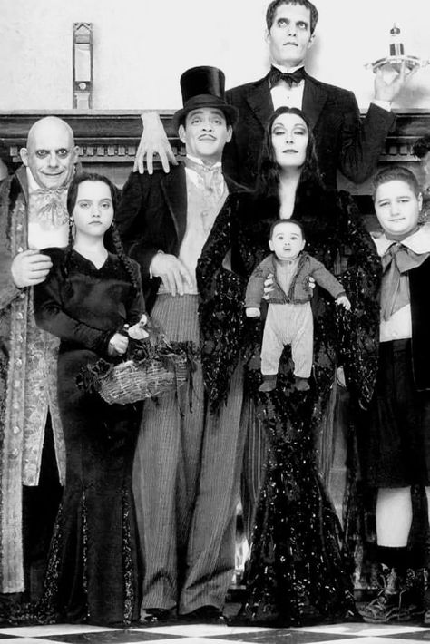 Addams Family Musical, Anjelica Huston, Dragon Tree, Nook Ideas, Adams Family, The Addams Family, Vampire Academy, Live Action Movie, Book Nook