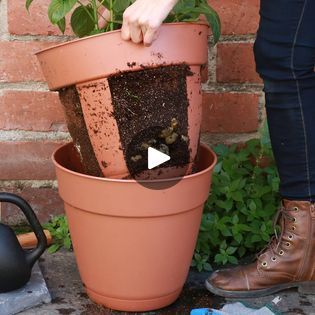 Easy Harvest Potato Planter | This easy-harvest potato planter is perfect for small-space gardening. 🌿 | By Nifty OutdoorsFacebook Planter Gardening, Raised Container Garden, Potato Planter, Gemüseanbau In Kübeln, Potato Planters, Planting Potatoes, Backyard Vegetable Gardens, Garden Bulbs, Veg Garden