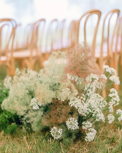 Whimsically romantic wedding ceremony vibes with our Bentwood Chairs Bentwood Chairs Wedding, Irish Wedding Ceremony, Irish Wedding Inspiration, Wedding Planner List, Bride Top, Event Trends, Romantic Wedding Ceremony, Event Specialist, Bentwood Chairs