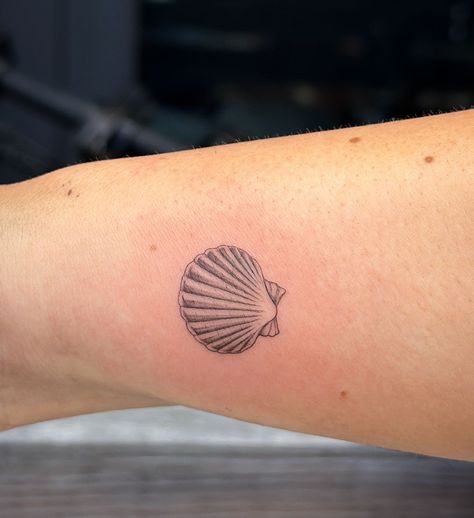 Tiny seashell by the sea shore! Tiny tattoos San deigo! Located with ozone at 3864 mission blvd! #sandiegotattooshop #sandiegotattoos #sandiegotattooartist #sandiegofemaletattooartist #tattooapprenticewanted #learntattooinginsandiegobythebeach San Diego Tattoo, Female Tattoo Artists, Tattoo Apprentice, Sea Shore, June 19, Tiny Tattoos, By The Sea, Sea Shells, The Sea