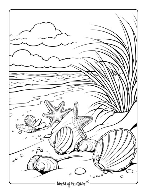 Coloring Pages Aesthetic Ocean, Coloring Pages Under The Sea, Free Beach Coloring Pages, Coloring Pages Adults Printable, Beach Theme Coloring Pages, Summer Coloring Pages For Adults, Ocean Colouring Pages, Shells Coloring Pages, Ocean Coloring Pages For Adults