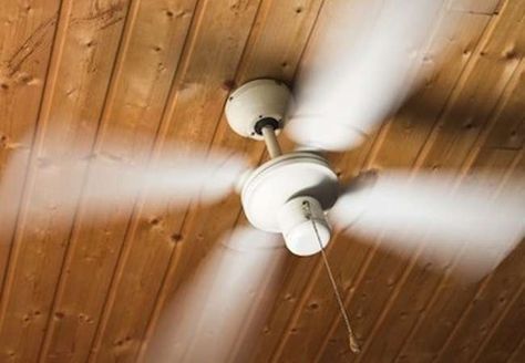 Ceiling Fan Direction, Shtf Survival, Winter Survival, Energy Saving Tips, Survival Shelter, Fan Picture, Daylight Savings Time, Survival Life, Survival Food