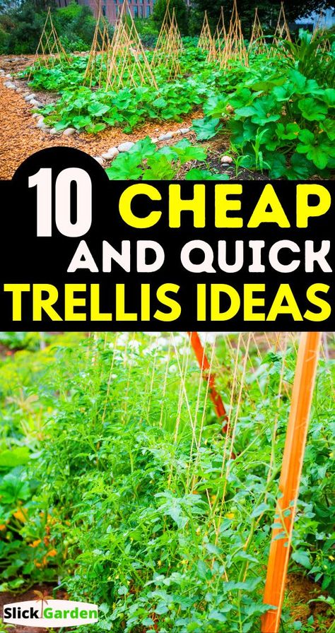 Cheap Garden Trellis, Cheap Trellis, Green Bean Trellis, Homemade Trellis, Outdoor Trellis Ideas, Diy Garden Trellis Ideas, Squash Trellis, Cucumber Trellis Diy, Bean Trellis