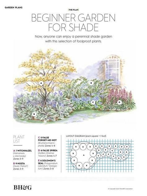 Big Garden Plan, Front Garden Layout, Garden Zone 6b, Pollination Garden, Beginner Garden, Flower Garden Plans, Garden Plan, Planting Plan, Foundation Planting