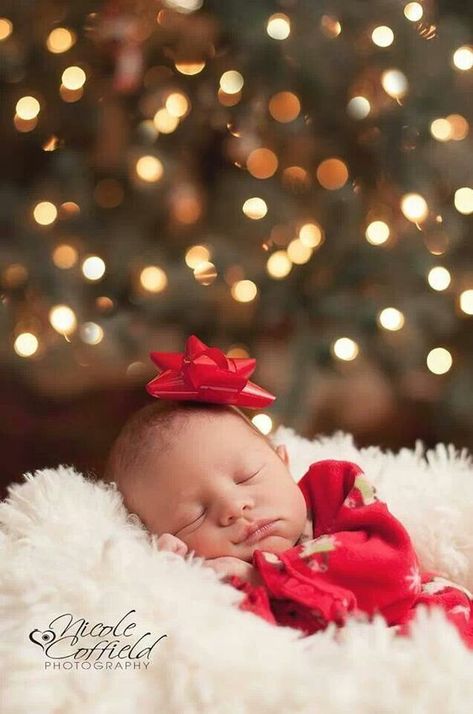 23 Adorable DIY Christmas Baby Photo Ideas - Just Simply Mom Newborn Christmas Pictures, Baby Christmas Photography, Newborn Christmas Photos, Christmas Baby Pictures, Foto Kids, Baby Christmas Photos, First Christmas Photos, Xmas Photos, Newborn Baby Photoshoot