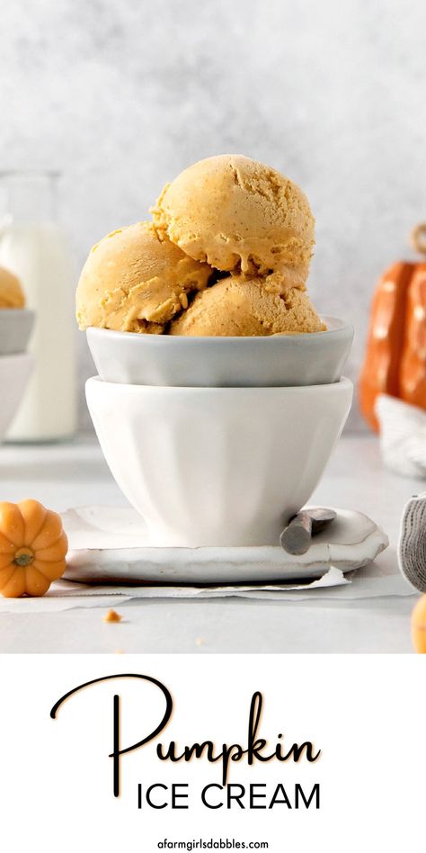 Pumpkin Spice Ice Cream Recipe, Homemade Pumpkin Ice Cream, Pumpkin Ice Cream Recipe, Homemade Pumpkin Spice Mix, Pumpkin Spice Ice Cream, Fall Eats, Pumpkin Pie Ice Cream, Pie Ice Cream, Pumpkin Ice Cream