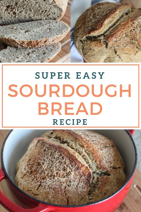 Super Easy Sourdough Bread - Dutch Oven Style - The Wild Gut Dutch Oven Sourdough Bread Recipe, Easy Sourdough Bread, Easy Sourdough Bread Recipe, Perfect Sandwich, Whole Wheat Sourdough, Sandwich Loaf, Sourdough Sandwich, Bread Packaging, Easy Sourdough