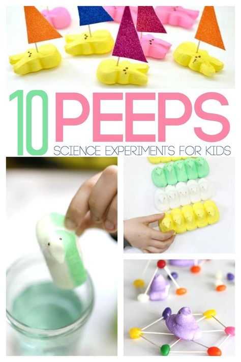 10 Peeps Experiments for Kids | Awesome activities and science ideas for Spring and Easter Peeps Science Experiment, Easter Science Experiments, Spring Science Experiments, Easter Stem, Easter Science, Spring Science, Science Experiments For Kids, Experiments For Kids, 1st Grade Science