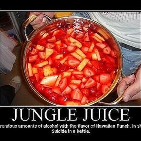 Best Jungle Juice Recipe, Jungle Juice Recipe, Party Drinks Alcohol, Bar Rail, Jungle Juice, Super Bowl Sunday, Absolut Vodka, Sweet Wine, Juice Recipe